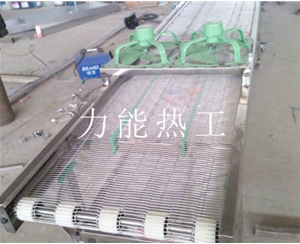 无锡乙字网输送机