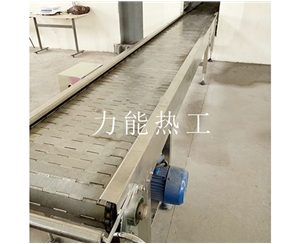 无锡链板输送机